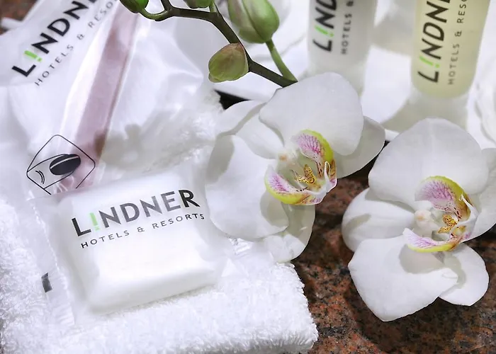 The Curve Bayarena 4*